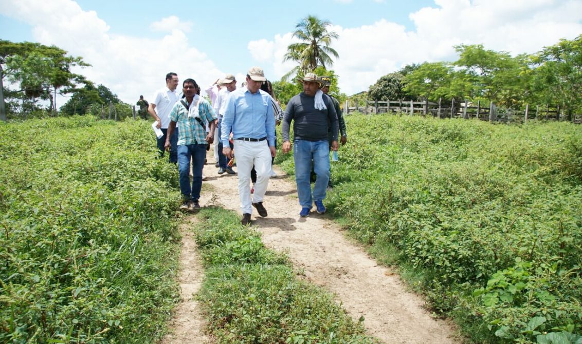 Restituci N De Tierras Entreg Parcelas A Segundos Ocupantes En