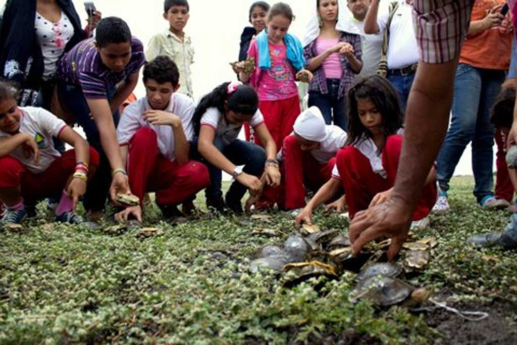 CVS, liberó 110 hicoteas, en el corregimiento Carolina, Planeta Rica.