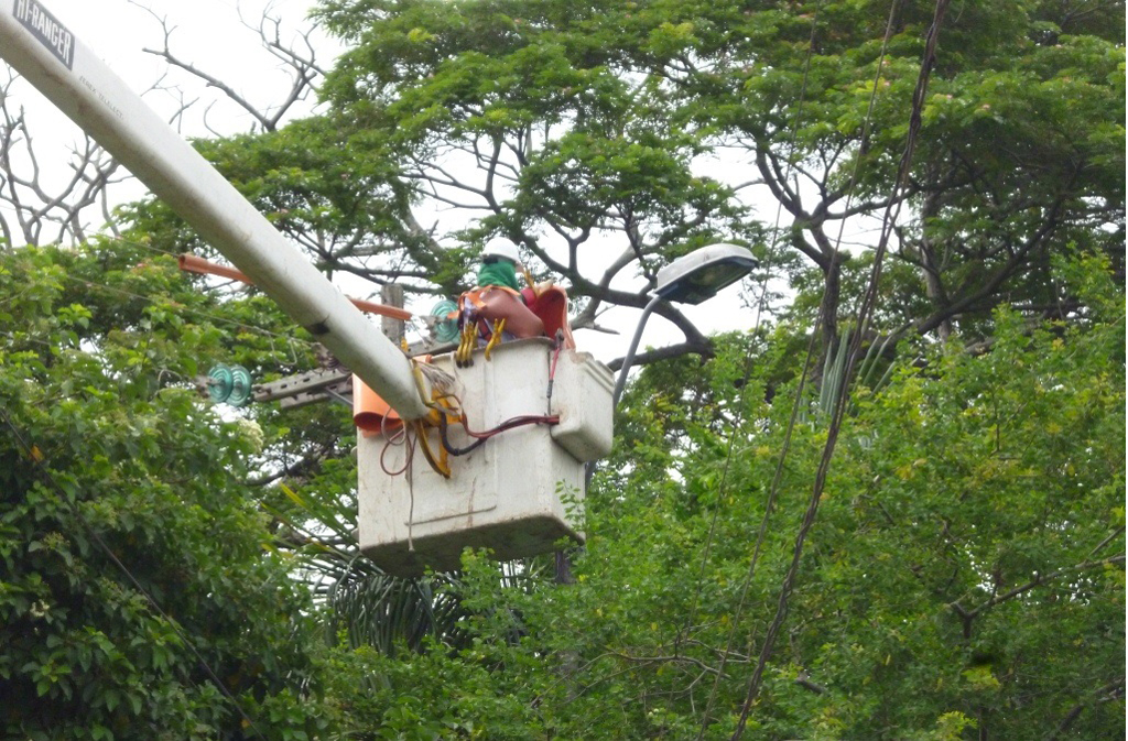 Realizarán mejoras en redes eléctricas de Lorica y otros municipios