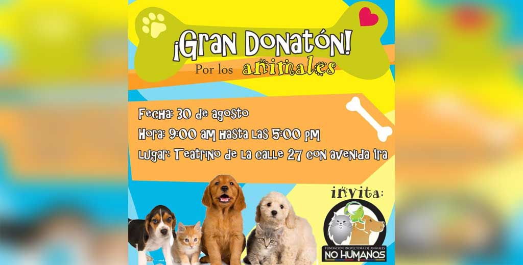 Gran Donatón por los animales desamparados en Montería