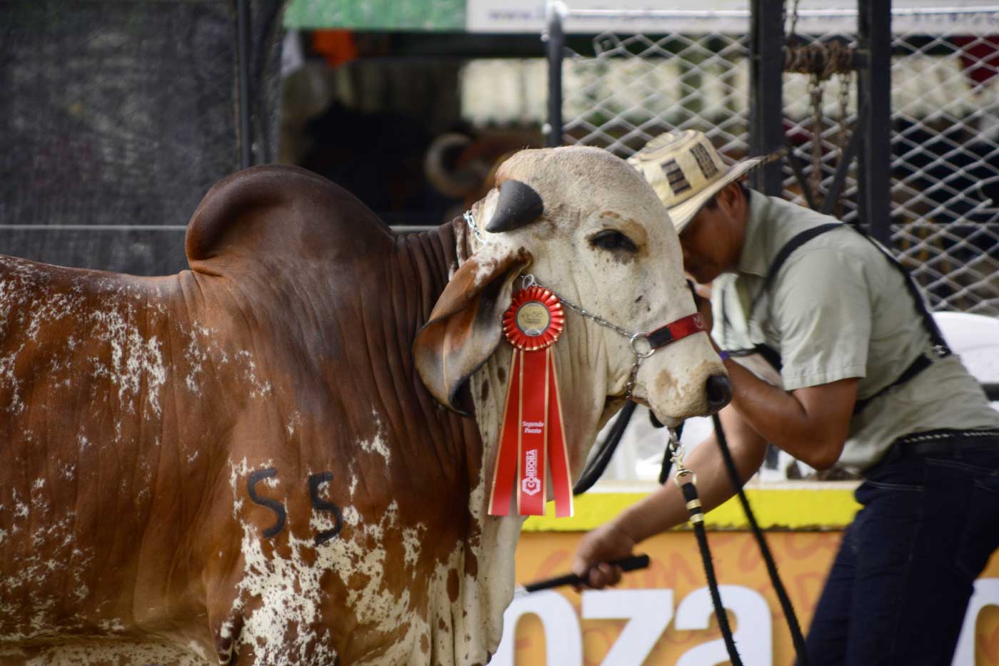 Más de 1000 asistentes a los eventos académicos de la Feria Ganadera