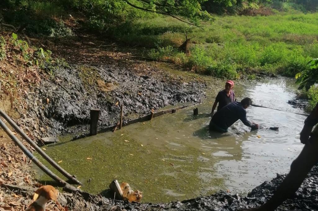 En Guasimal el agua escasea, pobladores se abastecen de represa llena ...