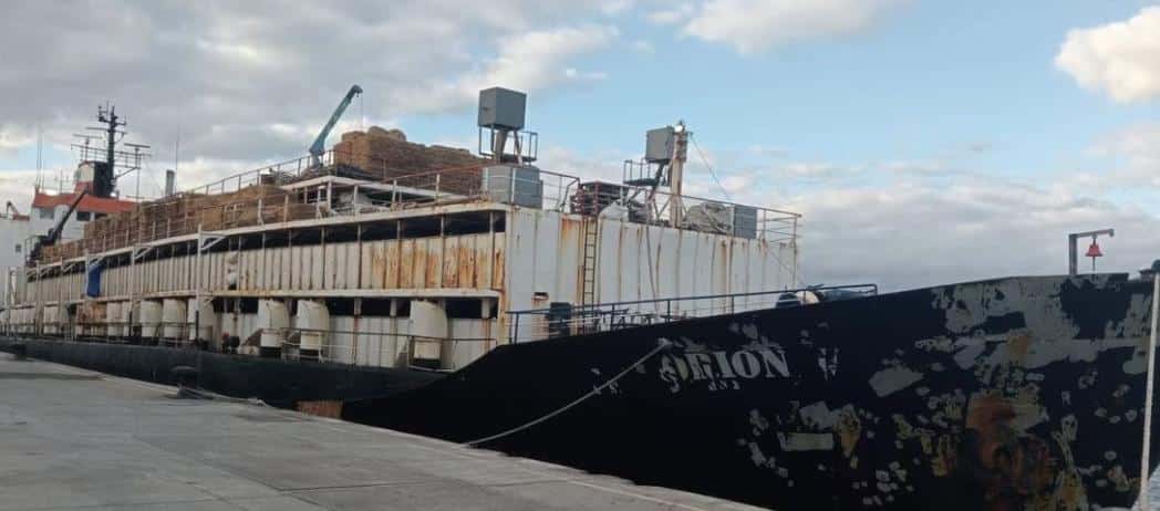 Cocaína Que Iba En Barco Con Ganado De Colombia Cayó En España - LARAZÓN.CO