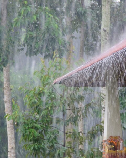 Lluvia