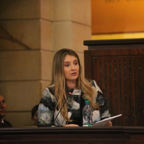 Foto: Senado de la República.