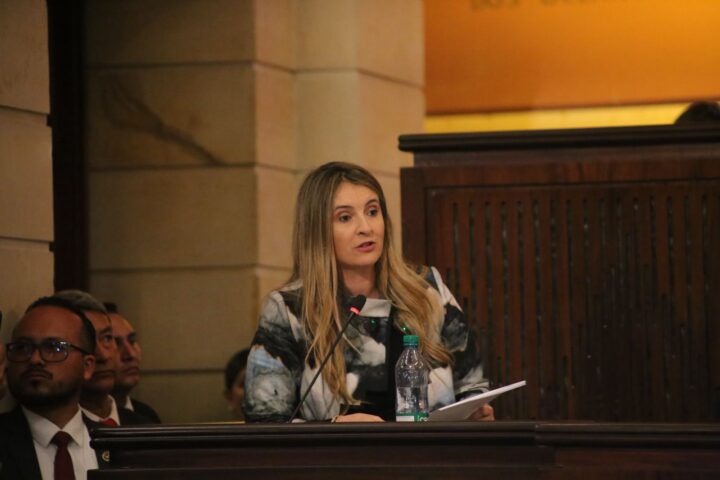 Foto: Senado de la República.