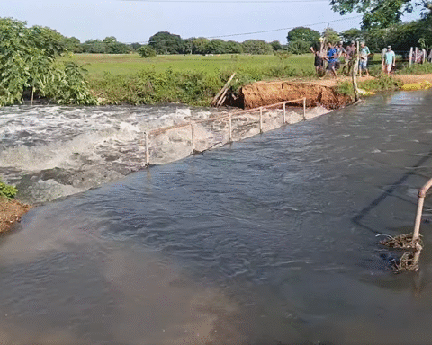 Punta de Yáñez - Ciénaga de Oro