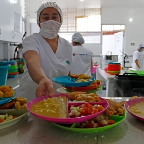 Fotos | PAE