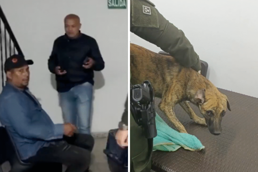 El hombre que atacó a un perro en Antioquia se entregó y presentó al ...