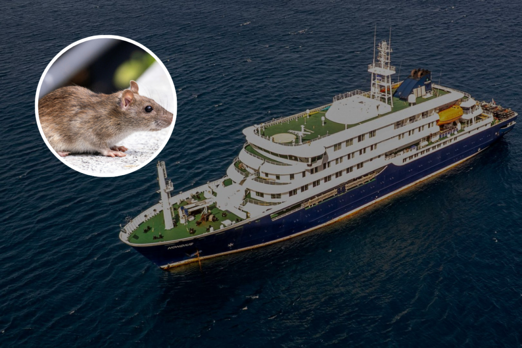 Confirmada transmisión de Hantavirus cepa Andes entre personas tras brote en crucero